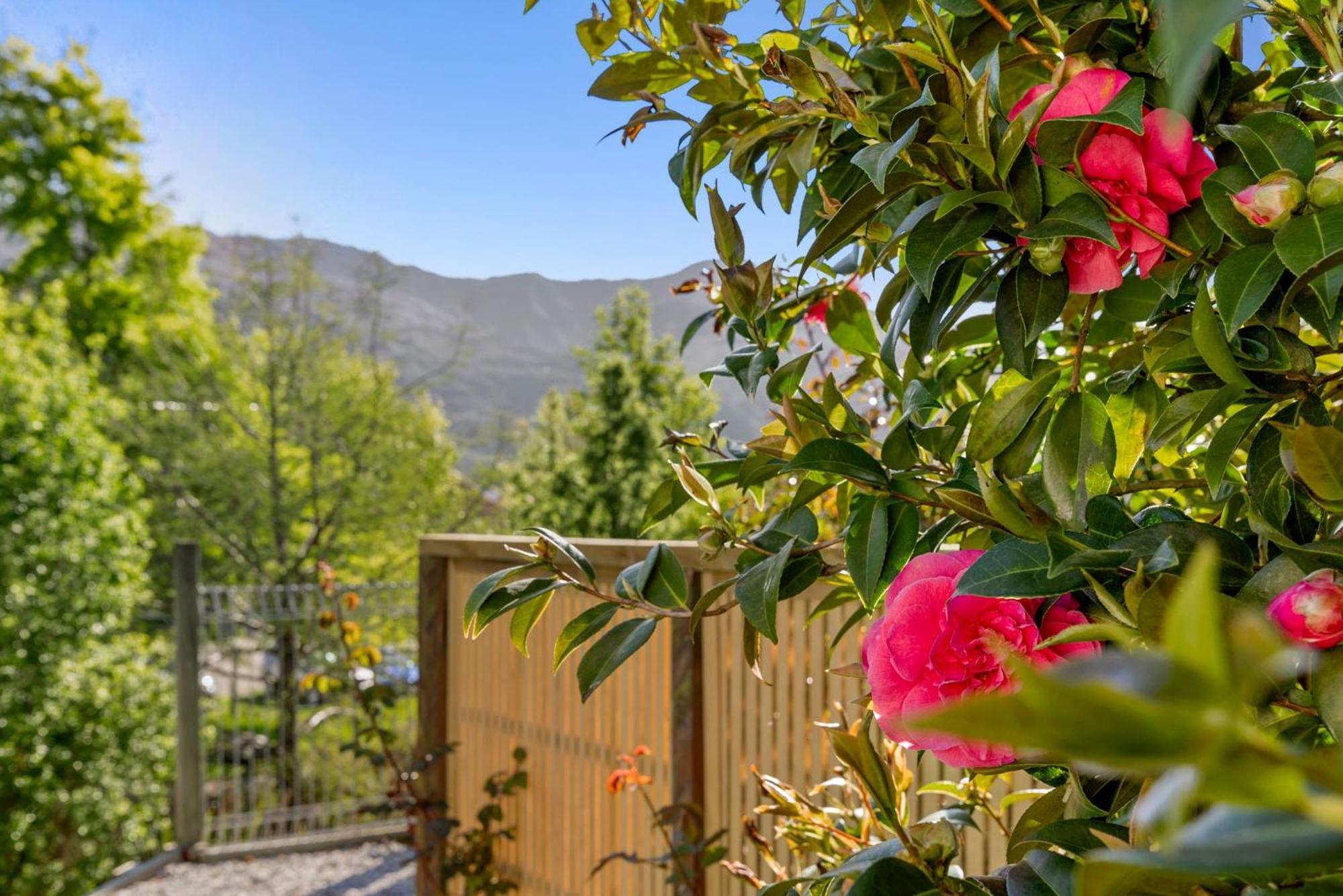 Asure Brookvale Motel วานากา ภายนอก รูปภาพ